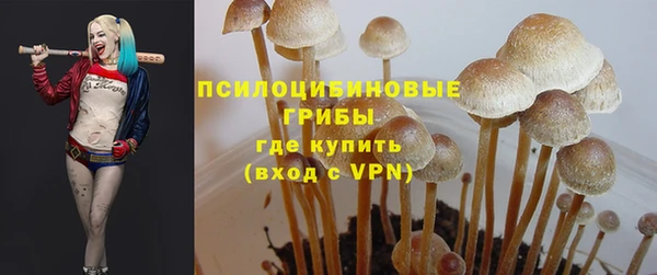 прущая мука Гусь-Хрустальный