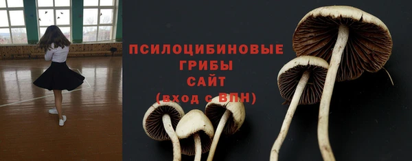 мяу мяу мука Няндома
