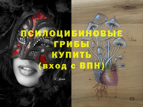 a pvp Кондопога