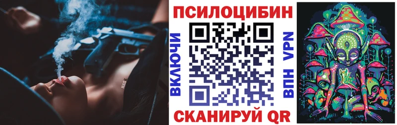 наркота Кувандык Псилоцибиновые грибы Psilocybe