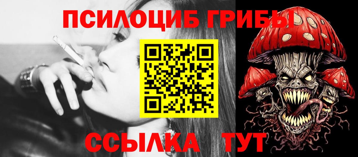 Кувандык  Псилоцибиновые грибы GOLDEN TEACHER  Вход с VPN 