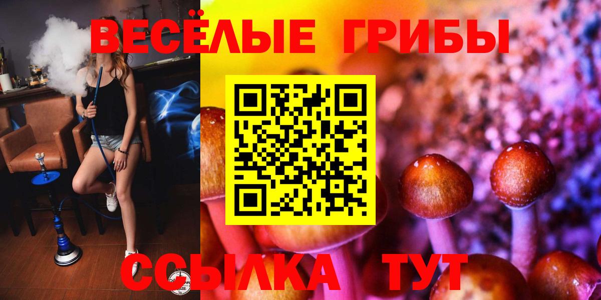 Гашиш  ЭКСТАЗИ  Мефедрон кристаллы  ГАШ  МЕТ  LSD-25  Вход с VPN  МАРИХУАНА  Альфа ПВП СОЛЬ   Кувандык  Меф МЯУ МЯУ 